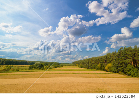Rural landscape. Aerial view. View of agricultural fields on a sunny summer day Rural landscape. Aerial view. View of agricultural fields on a sunny summer day 142622594