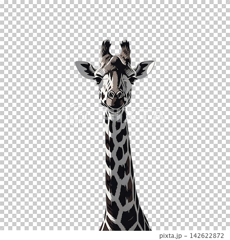 giraffe on white background 142622872