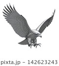 vector illustration of an eagle 142623243