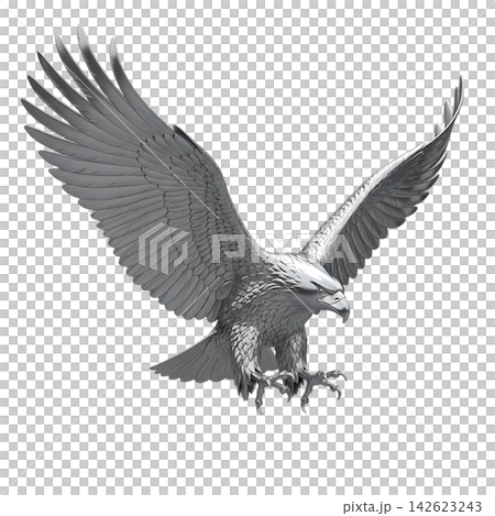 vector illustration of an eagle vector illustration of an eagle 142623243