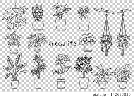 室內植物插畫集 - 手繪單色線條藝術 室內植物插畫集 - 手繪單色線條藝術 142623830