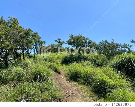 青空の下に続く緑豊かな夏山の登山道 142623973