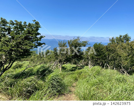 緑豊かな山道の先に広がる夏の山岳風景 緑豊かな山道の先に広がる夏の山岳風景 142623975
