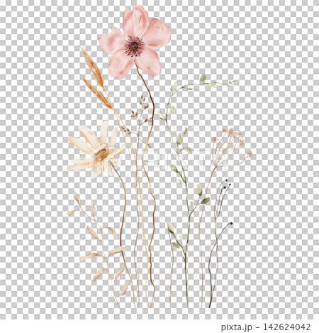 Watercolor Wildflower Bouquet. Pink Poppy, White Daisy, Wheat Stalks and Dried Seed Heads on White Background. Hand-painted illustrations. Asymmetrical composition with varying stem heights Watercolor Wildflower Bouquet. Pink Poppy, White Daisy, Wheat Stalks and Dried Seed Heads on White Background. Hand-painted illustrations. Asymmetrical composition with varying stem heights 142624042