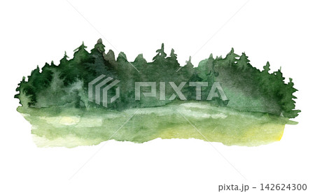 Watercolor green forest edge with fir trees over a bright summer meadow 142624300