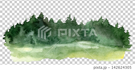 Watercolor green forest edge with fir trees over a bright summer meadow Watercolor green forest edge with fir trees over a bright summer meadow 142624305