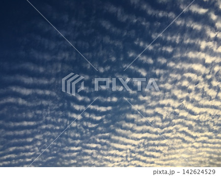 青空一面に広がるうろこ雲(いわし雲・波状雲)の風景 青空一面に広がるうろこ雲(いわし雲・波状雲)の風景 142624529
