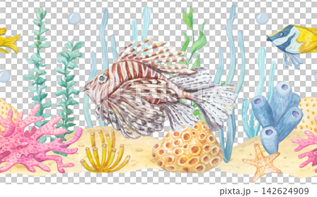 Watercolor seamless border with lionfish, tropical fish, seaweed, corals and starfish isolated on white background. Hand drawn marine element for underwater theme design Watercolor seamless border with lionfish, tropical fish, seaweed, corals and starfish isolated on white background. Hand drawn marine element for underwater theme design 142624909