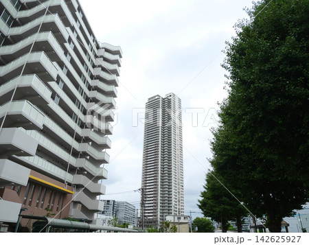 タワーマンションと団地のある都市風景|辰巳・東雲 タワーマンションと団地のある都市風景|辰巳・東雲 142625927