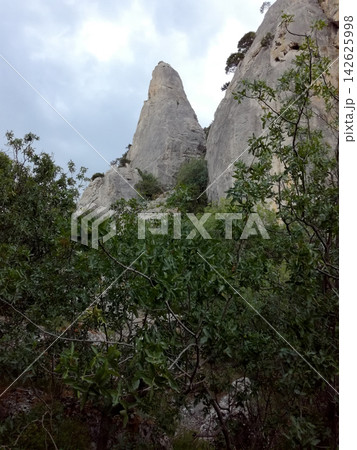 rocky mountain peaks rise above green forest under cloudy sky 142625998