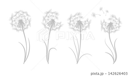 Set of contour fluffy dandelions with seeds. Wildflower linear logo sketch. Set of contour fluffy dandelions with seeds. Wildflower linear logo sketch. 142626403