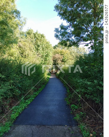 イギリスミッドランドのとある公園の散歩道 イギリスミッドランドのとある公園の散歩道 142626577
