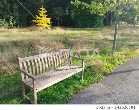 イギリスミッドランドのとある公園のベンチ イギリスミッドランドのとある公園のベンチ 142626591