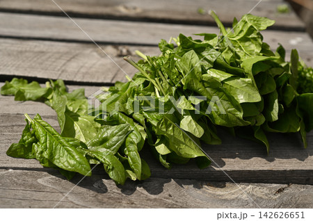 Healthy spinach herb rests on grey wooden floor. 142626651