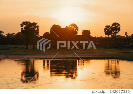 池に映る黄金色の夕景 池に映る黄金色の夕景 142627520
