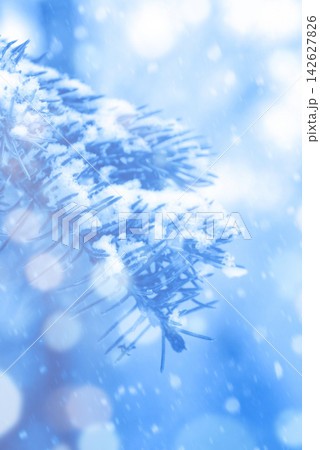 Snow Covered Christmas Tree with Glowing Garland Lights and Blurred Winter Bokeh Background Snow Covered Christmas Tree with Glowing Garland Lights and Blurred Winter Bokeh Background 142627826