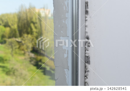Black mold grows on damaged window slope in house. Black mold grows on damaged window slope in house. 142628541