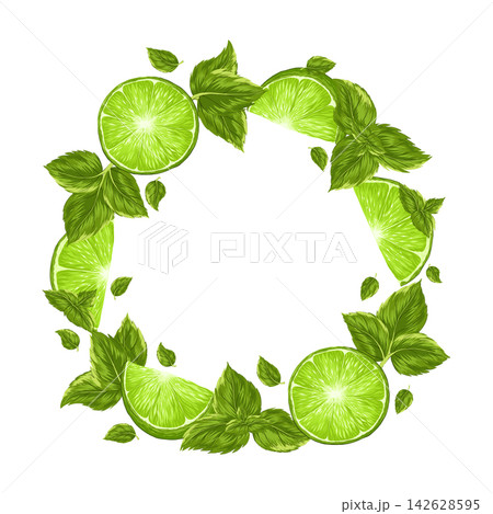 Green lime with mint leaves on a white background. Circle frame with an empty text place. Banner, poster, wrapping paper, sticker, print, modern textile design. Vector hand drawn illustration. 142628595