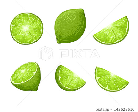 Limes vector cartoon illustration set. Realistic tropical fruit. Green citrus. Whole, half, cut slice lime fruits isolated on white background. Organic fruits for lemonade, healthy food. Limes vector cartoon illustration set. Realistic tropical fruit. Green citrus. Whole, half, cut slice lime fruits isolated on white background. Organic fruits for lemonade, healthy food. 142628610