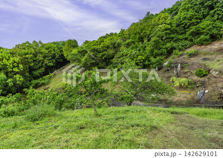 一つ塚古墳の周辺 岡山県倉敷市 一つ塚古墳の周辺 岡山県倉敷市 142629101