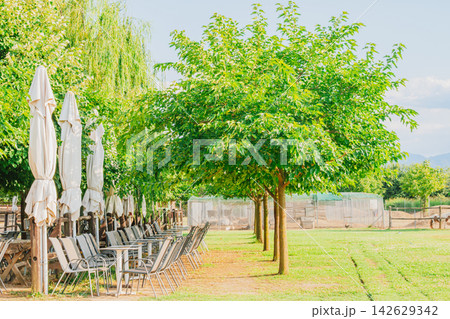 Outdoor seating area with wooden chairs and tables under large green trees, featuring white umbrellas for shade in a sunny garden setting Outdoor seating area with wooden chairs and tables under large green trees, featuring white umbrellas for shade in a sunny garden setting 142629342
