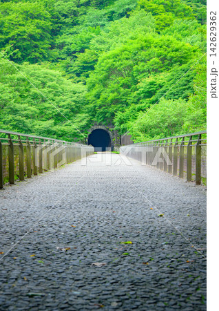 【碓氷第三橋梁】めがね橋上部の景色【アプトの道】 【碓氷第三橋梁】めがね橋上部の景色【アプトの道】 142629362