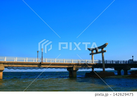 愛知県蒲郡市の竹島橋　八百富神社へ続く橋と鳥居の風景 142629475