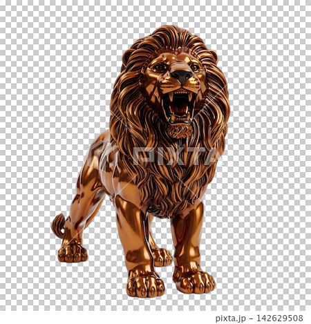 lion isolated on white background lion isolated on white background 142629508
