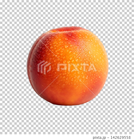 red plum on a white background red plum on a white background 142629558