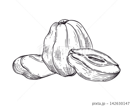 whole quince fruit with slices and half sections hand drawn black ink vector illustration. Monochrome fruit sketch for autumn menu, healthy food poster, and preserved fruit design. 142630147