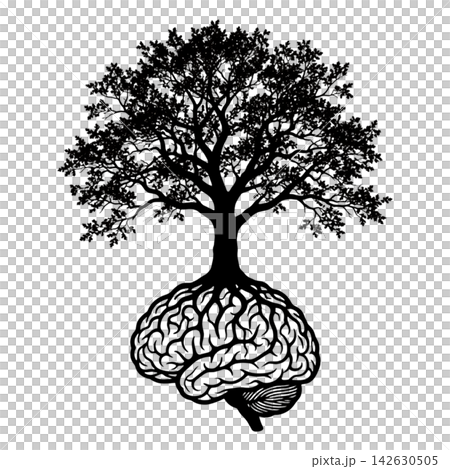 isolated tree with roots 142630505