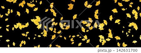 風に舞う銀杏の葉っぱの金箔シルエット横長黒背景 風に舞う銀杏の葉っぱの金箔シルエット横長黒背景 142631700