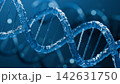 青く透き通るDNAの二重らせん 142631750