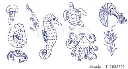 Set with hand drawn sea and ocean life elements. Vector doodle line art marine life objects for your design. Jellyfish, octopus, crab, sea horse, turtle, shell, coral. Vector illustration Set with hand drawn sea and ocean life elements. Vector doodle line art marine life objects for your design. Jellyfish, octopus, crab, sea horse, turtle, shell, coral. Vector illustration 142632201