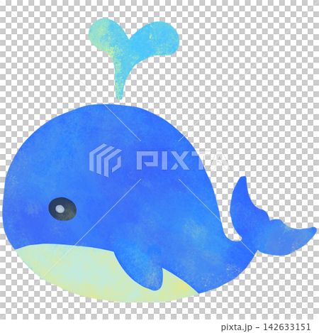 Simple and cute whale illustration 142633151