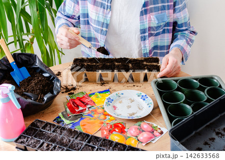 In a bright indoor space, a man uses a small tool to fill seed trays with soil, carefully planting tomato seeds while preparing for the spring gardening season at home. In a bright indoor space, a man uses a small tool to fill seed trays with soil, carefully planting tomato seeds while preparing for the spring gardening season at home. 142633568