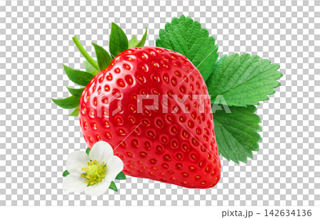 Strawberry illustration, Amaou strawberry, realistic strawberry Strawberry illustration, Amaou strawberry, realistic strawberry 142634136