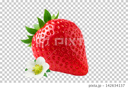 いちご イラスト あまおう リアル 苺 142634137