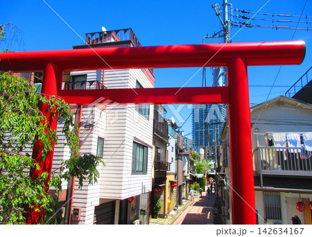 2026年住吉神社例大祭(佃祭)の様々な風景 2026年住吉神社例大祭(佃祭)の様々な風景 142634167