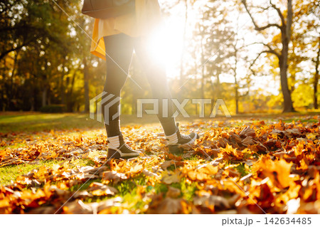 Women's feet walk on autumn leaves in the forest. Rest, relaxation, lifestyle concept. 142634485