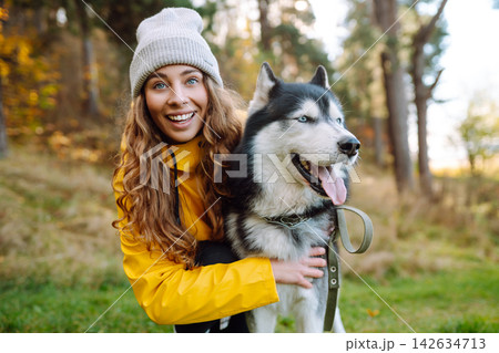 Woman with her husky dog walks in autumn forest. A cheerful pet spends time with its owner outdoors. Woman with her husky dog walks in autumn forest. A cheerful pet spends time with its owner outdoors. 142634713