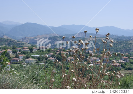 Mountain Village Landscape with Wildflowers and Scenic Summer Valley 142635324