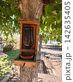 Homemade wasp trap on a tree trunk in benicasim 142635405