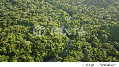 Winding river flowing through the dense, vibrant green, tropical rainforest canopy of the Solomon Islands, showcasing untouched nature and biodiversity. Natural landscape. Aerial view drone flight 142636327