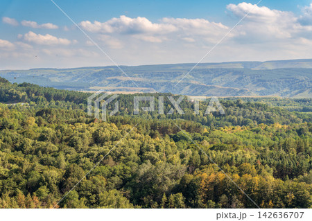 Layers of green mountains and hills in the haze during sunset. Panoramic View of Green hills and Meadow. 142636707