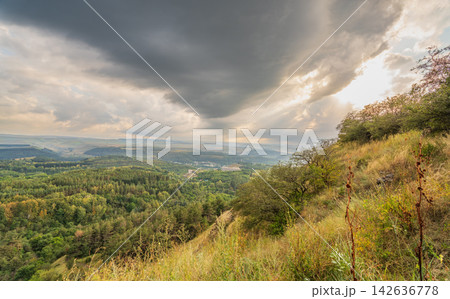 Summer Mountains Landscape with Green forest. 142636778