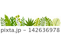 Tropical leaves banner background featuring green jungle foliage like monstera, palm, banana leaf, and ferns arranged along the bottom border isolated on a clean white background. 142636978