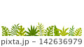 Tropical green leaves border banner background featuring exotic jungle foliage like monstera, palm fronds, and ferns arranged along the lower edge isolated on a white background. 142636979