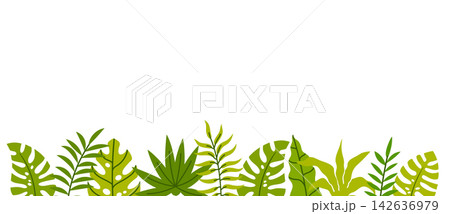 Tropical green leaves border banner background featuring exotic jungle foliage like monstera, palm fronds, and ferns arranged along the lower edge isolated on a white background. Tropical green leaves border banner background featuring exotic jungle foliage like monstera, palm fronds, and ferns arranged along the lower edge isolated on a white background. 142636979