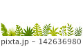Minimalist tropical green leaves banner background featuring jungle foliage like monstera, banana leaf, and palm fronds lining the bottom edge isolated on a solid white background. 142636980